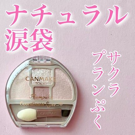 プランぷくコーデアイズ/キャンメイク/パウダーアイシャドウを使ったクチコミ(1枚目)