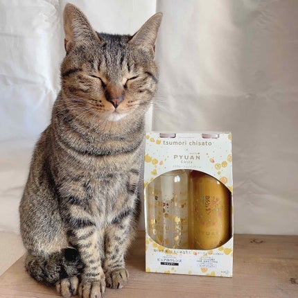 PYUAN サークル シャンプー/コンディショナー/ピュアン/シャンプー・コンディショナーを使ったクチコミ(4枚目)