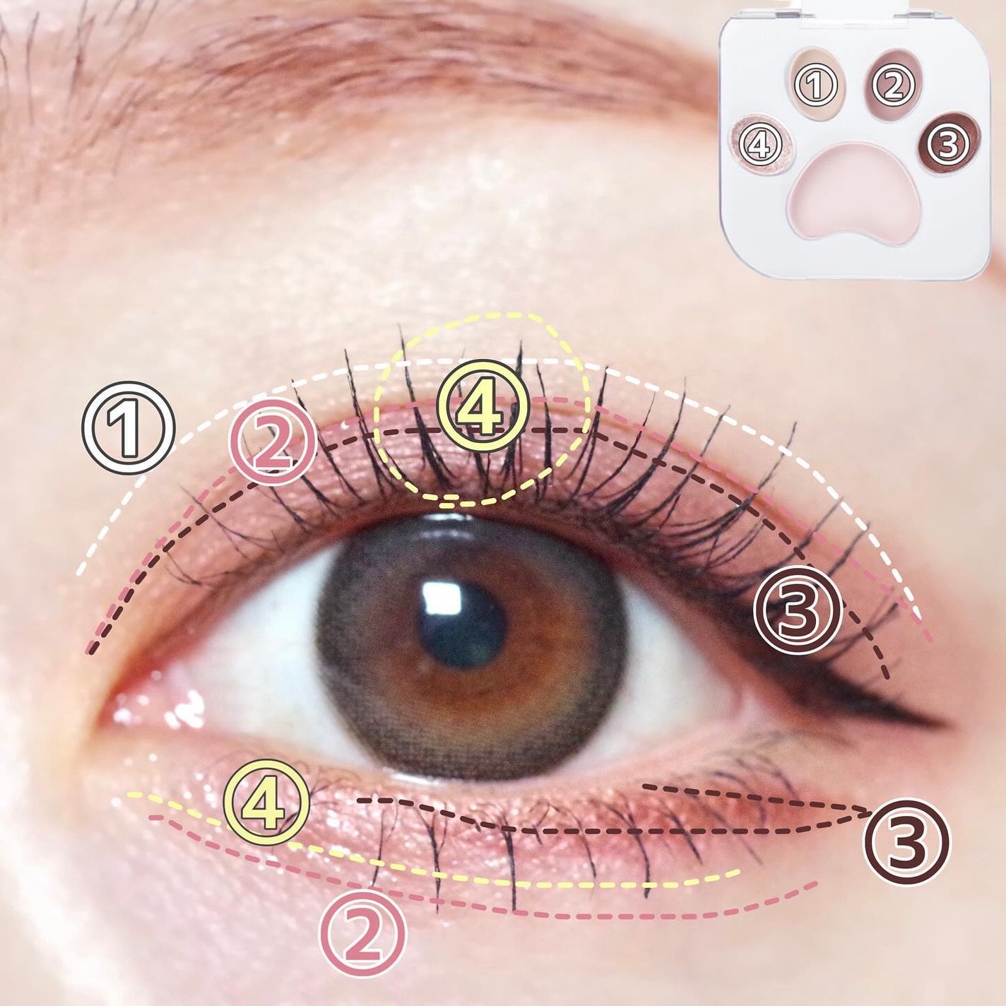 ミャオパウズアイシャドウパレット/MilleFée/アイシャドウパレットを使ったクチコミ(5枚目)