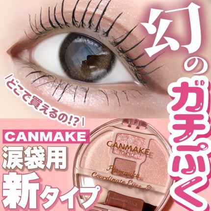 プランぷくコーデアイズ/キャンメイク/パウダーアイシャドウを使ったクチコミ(1枚目)