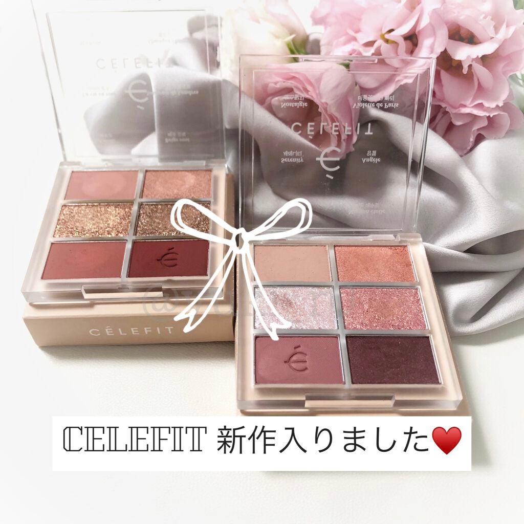 プロアイシャドウパレットセシル/CELEFIT/アイシャドウパレットを使ったクチコミ(1枚目)