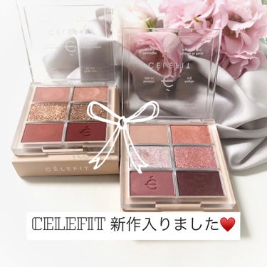 プロアイシャドウパレットセシル/CELEFIT/アイシャドウパレットを使ったクチコミ（1枚目）