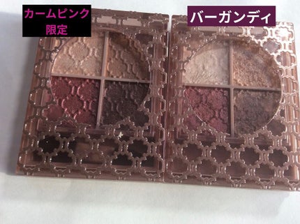 グロッシーリッチ アイズ N/Visée/アイシャドウパレットを使ったクチコミ(3枚目)