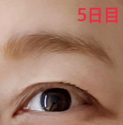 眉ティントSVR/Fujiko/眉ティントを使ったクチコミ(9枚目)