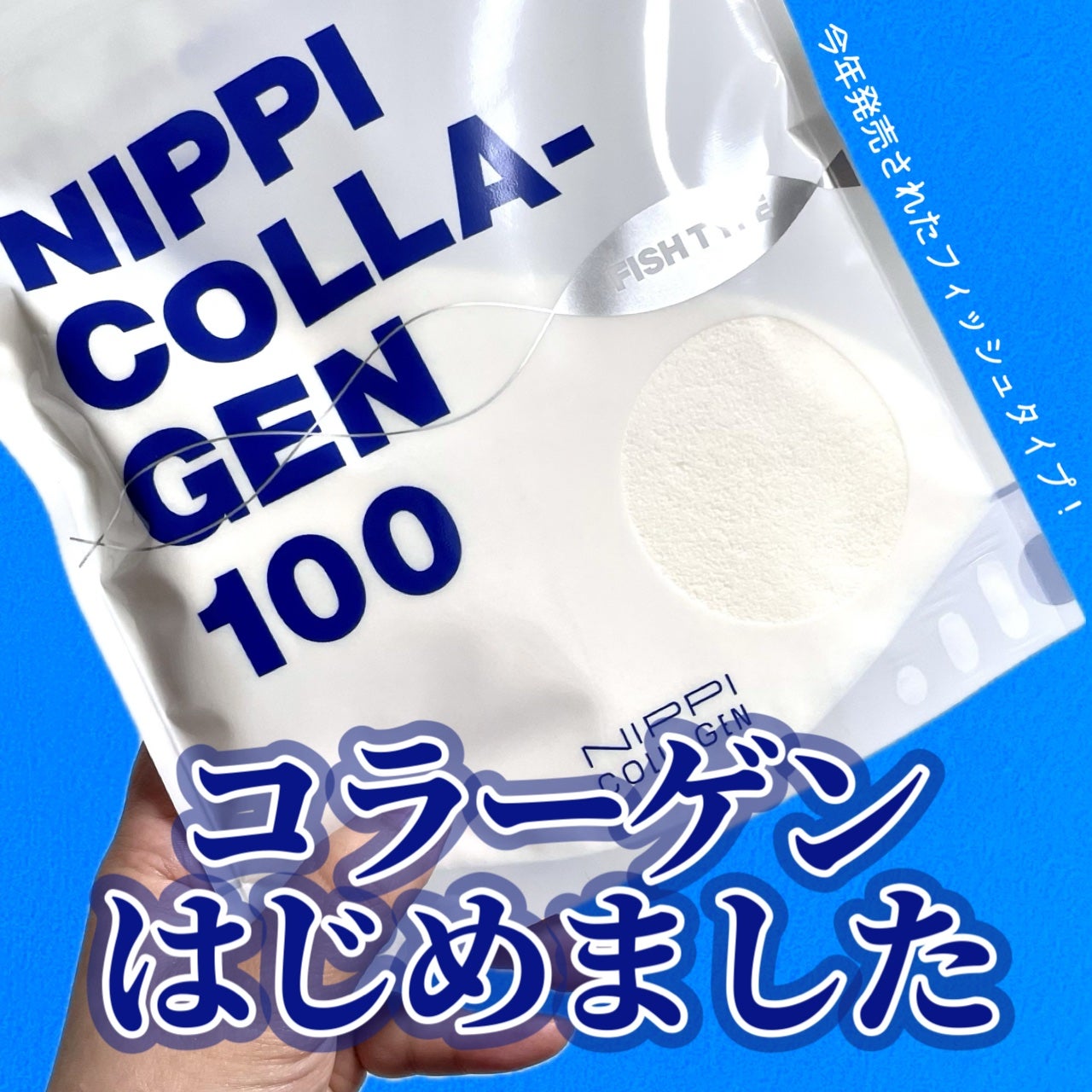 試してみた】ニッピコラーゲン100 フィッシュタイプ ニッピ 試してみた】ニッピコラーゲン100 フィッシュタイプ ニッピ