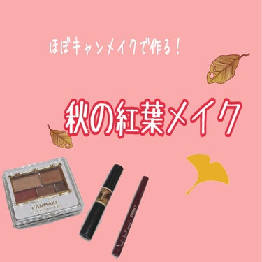 パーフェクトマルチアイズ/キャンメイク/パウダーアイシャドウを使ったクチコミ（1枚目）