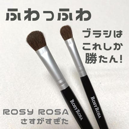 アイシャドウブラシセット/ロージーローザ/メイクブラシを使ったクチコミ(1枚目)