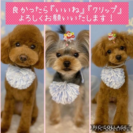 ネイルパーツ/セリア/ネイルチップ・パーツを使ったクチコミ(3枚目)