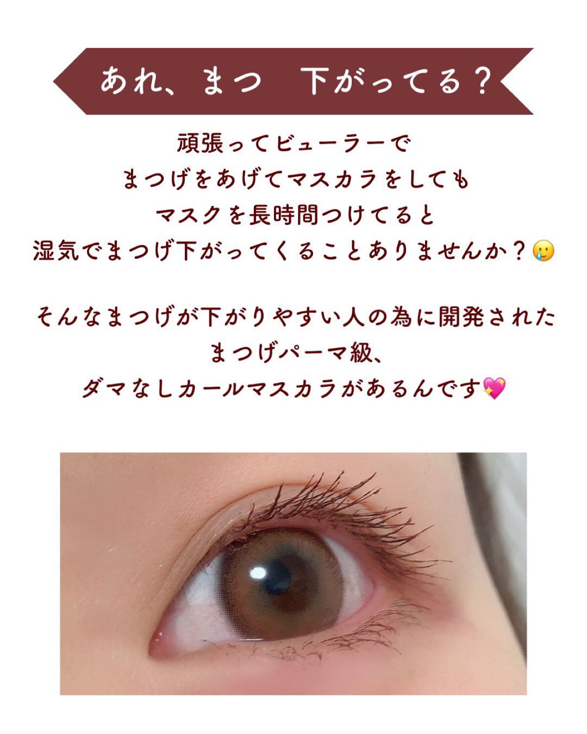 ミゼルエディ カールアップマスカラ/ミゼルエディ/マスカラを使ったクチコミ(2枚目)