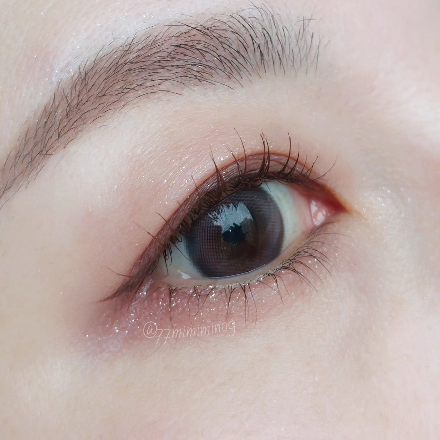 ウォンジョンヨ W デイリームードアップパレット /Wonjungyo/アイシャドウパレットを使ったクチコミ(5枚目)