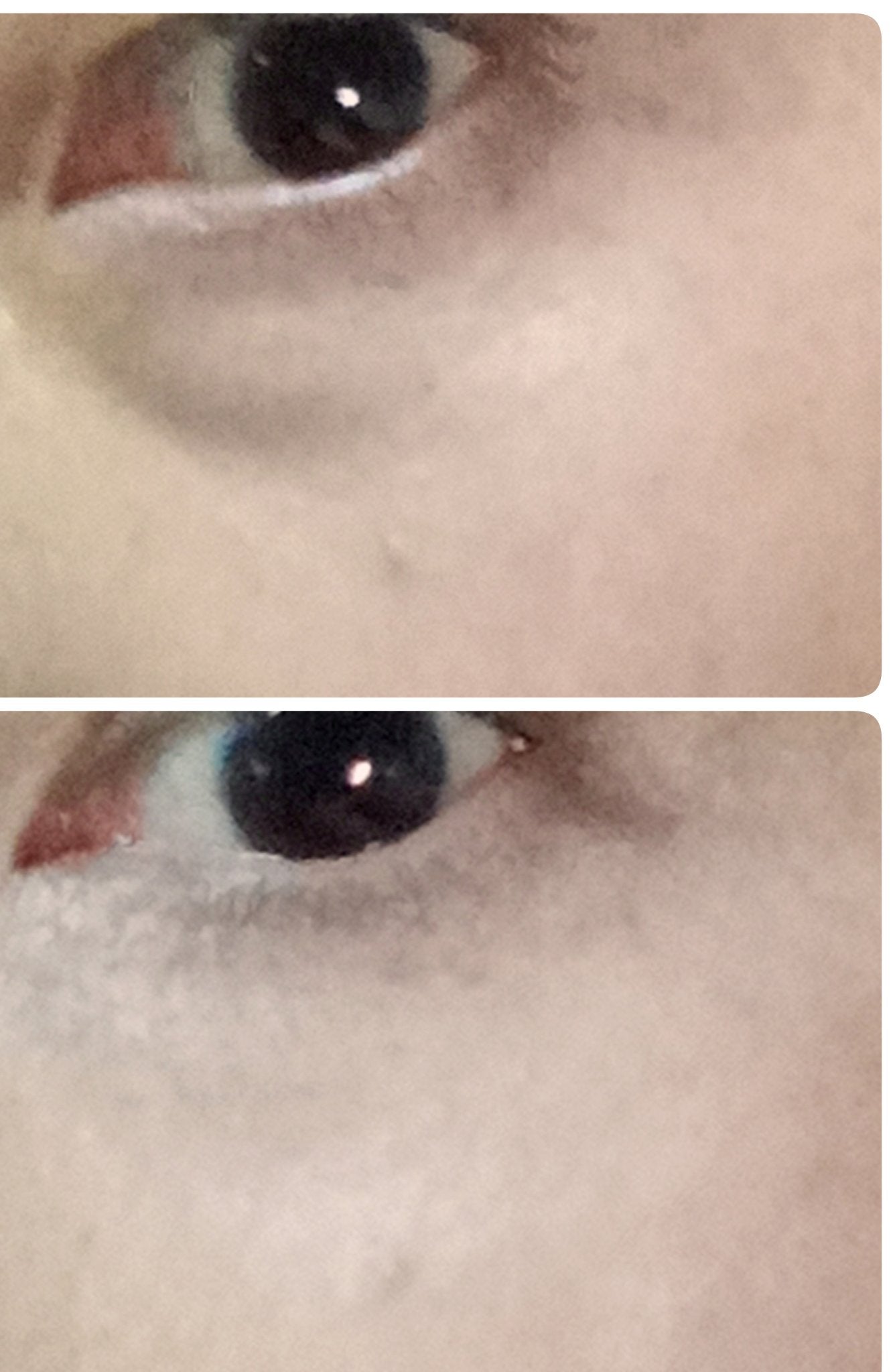 カバーパーフェクション チップコンシーラー/the SAEM/リキッドコンシーラーを使ったクチコミ(4枚目)