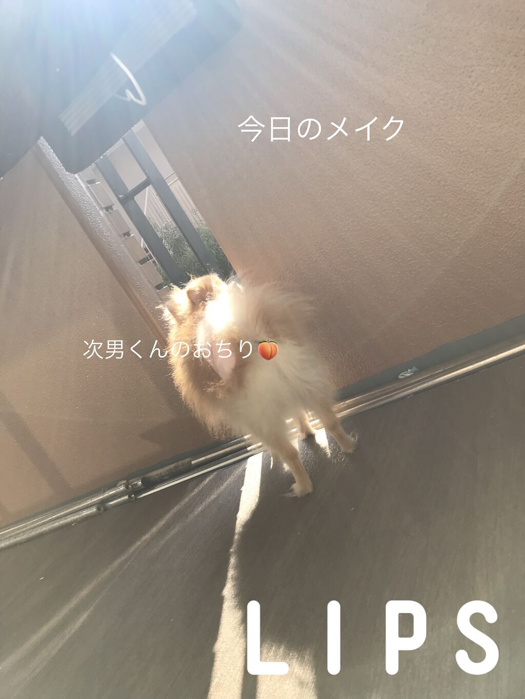 フェイスパウダー/DECORTÉ/ルースパウダーを使ったクチコミ（1枚目）