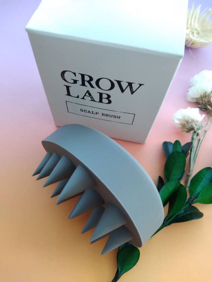スカルプブラシ/GROW LAB/スカルプブラシを使ったクチコミ(2枚目)
