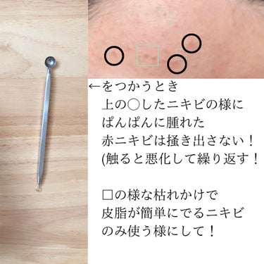 ポアヌーク ザ・ポアクリアスティック/STYLE+NOBLE/その他スキンケアグッズを使ったクチコミ（4枚目）