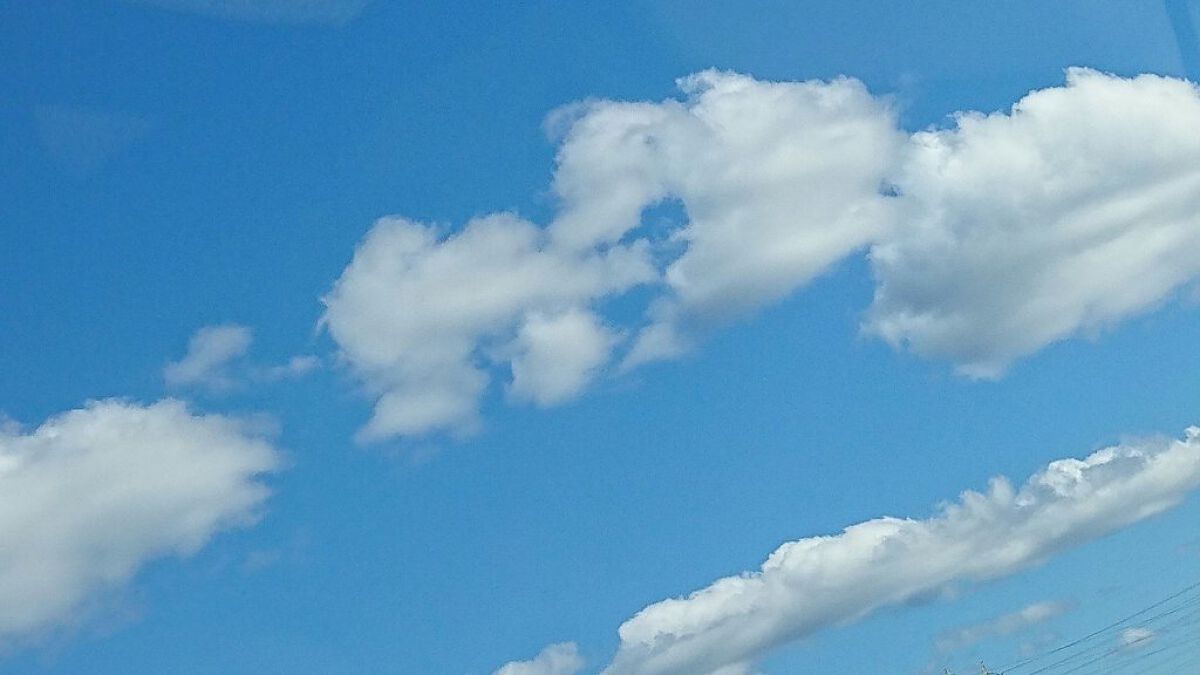 ボディ スムーザー /ハウス オブ ローゼ/ボディスクラブを使ったクチコミ(5枚目)