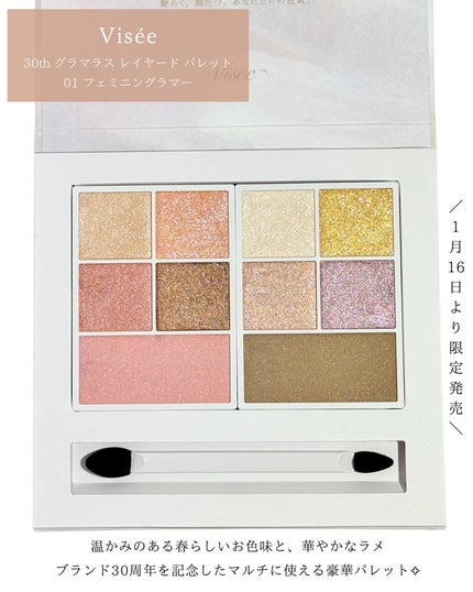 30th グラマラス レイヤード パレット/Visée/マルチパレットを使ったクチコミ(2枚目)