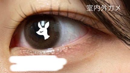 TOPARDS 1day/TOPARDS/ワンデー(1DAY)カラコンを使ったクチコミ(3枚目)