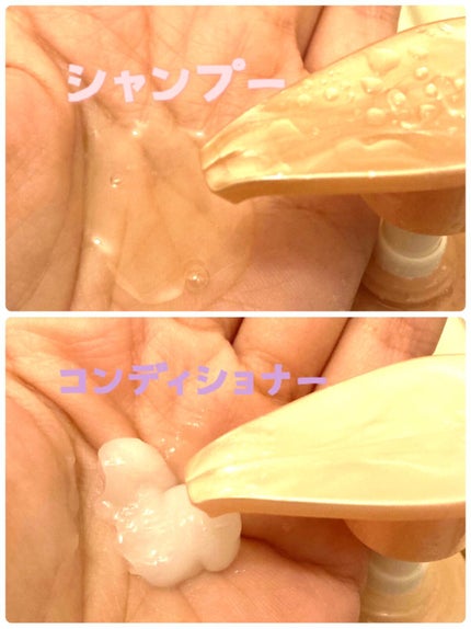 ザビューティ 髪のキメ美容素髪を守る バリアシャンプー/コンディショナー/エッセンシャル/シャンプー・コンディショナーを使ったクチコミ(3枚目)