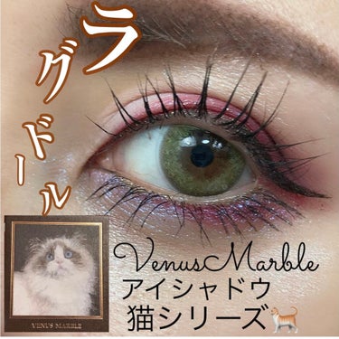 Venus Marble アイシャドウキャットシリーズ/Venus Marble/アイシャドウパレットを使ったクチコミ（1枚目）