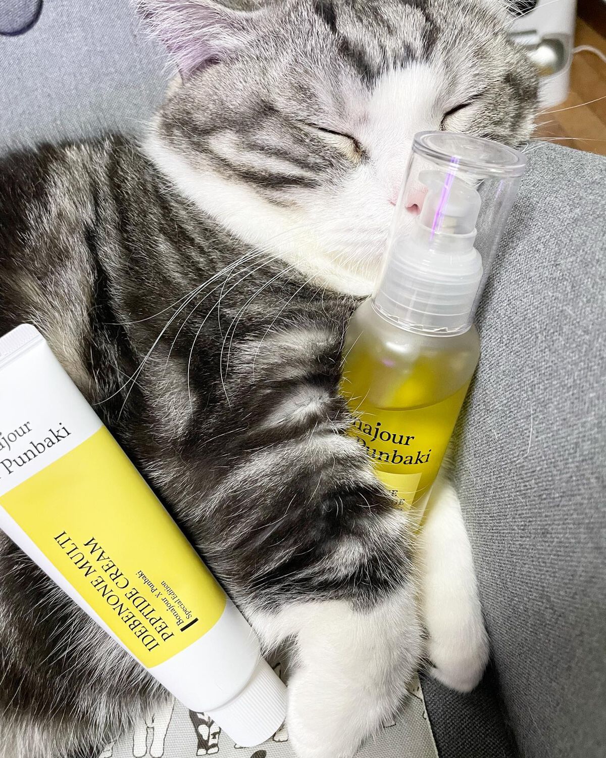 イデベノンマルチペプチドクリーム/Bonajour/フェイスクリームを使ったクチコミ（1枚目）