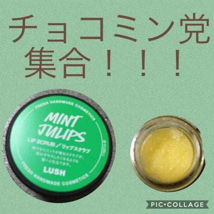 ミントフレーバー リップスクラブ/ラッシュ/リップスクラブを使ったクチコミ(1枚目)