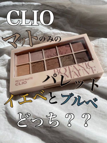 プロ アイ パレット/CLIO/アイシャドウパレットを使ったクチコミ（1枚目）