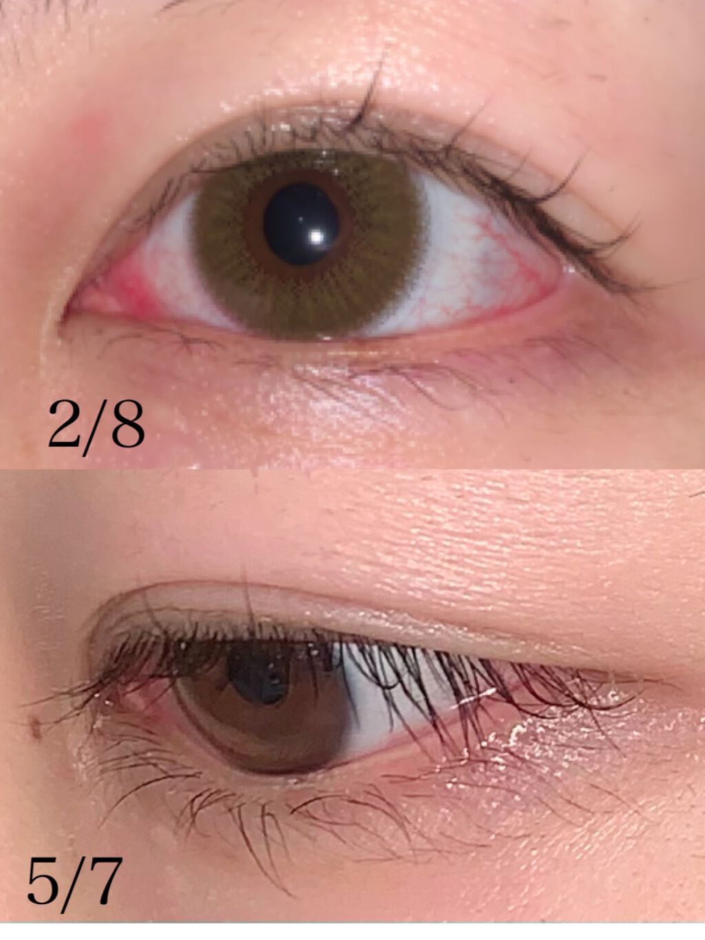 ビューティーラッシュ オリジン/Spa treatment/まつげ美容液を使ったクチコミ（1枚目）