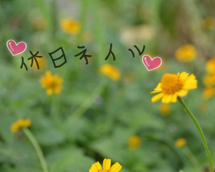 LJ ジェルネイルベースコート/セリア/ジェルネイルを使ったクチコミ(1枚目)