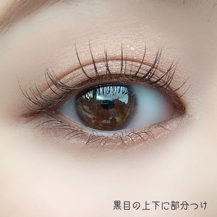 ドロップアイズスティックグリッツ/BLACK ROUGE/スティックアイシャドウを使ったクチコミ(5枚目)