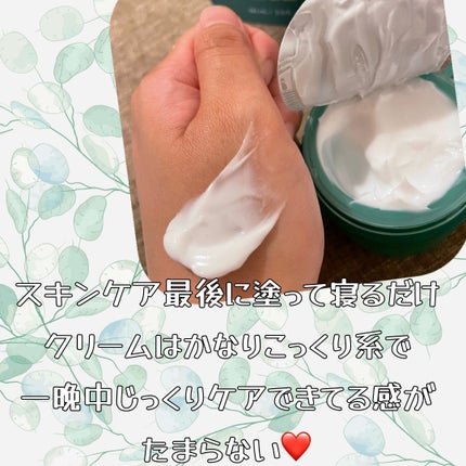 シカスリーピングマスク/LANEIGE/フェイスクリームを使ったクチコミ(2枚目)