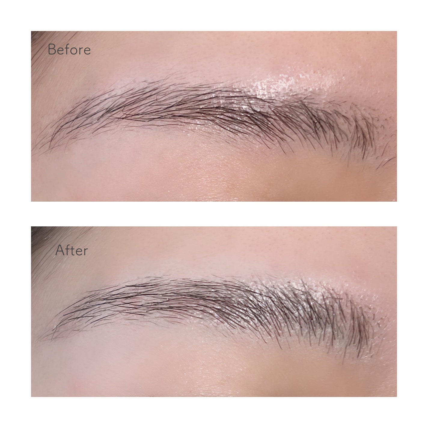 タフブローリフトキット/ENTROPY/その他キットセットを使ったクチコミ(5枚目)