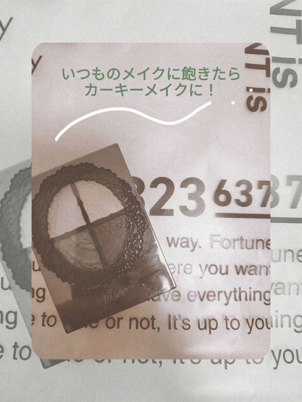 グロッシーリッチ アイズ/Visée/アイシャドウパレットを使ったクチコミ(1枚目)