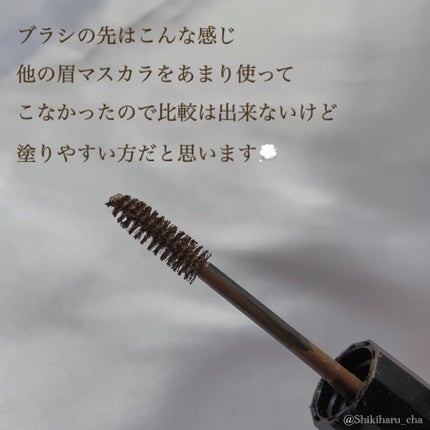 カラーリングアイブロウ/ヘビーローテーション/眉マスカラを使ったクチコミ(2枚目)