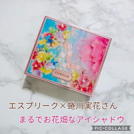 アイカラー ケース N/ESPRIQUE/その他化粧小物を使ったクチコミ(1枚目)
