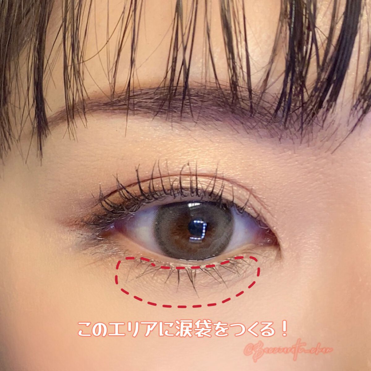 シャドーカスタマイズ/MAJOLICA MAJORCA/単色アイシャドウを使ったクチコミ（3枚目）