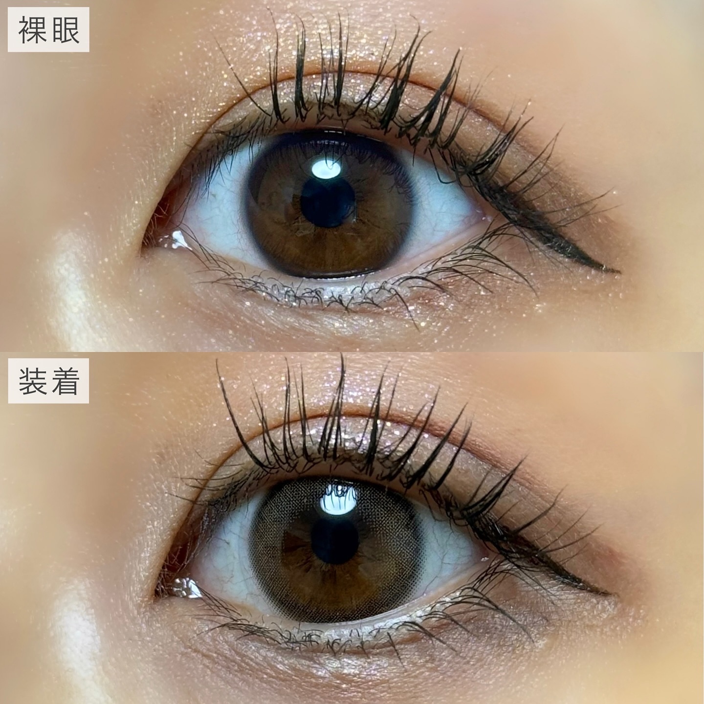 フェアリー ワンデー ニュートラルシリーズ/FAIRY/ワンデー（１DAY）カラコンを使ったクチコミ（3枚目）