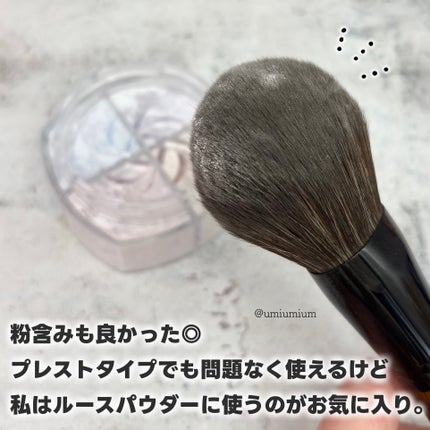 パウダーブラシEX/ロージーローザ/メイクブラシを使ったクチコミ(5枚目)