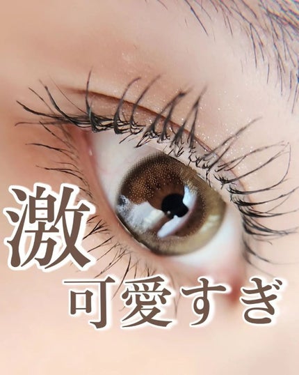 Chu's me 1day/Chu's me/ワンデー(1DAY)カラコンを使ったクチコミ(1枚目)