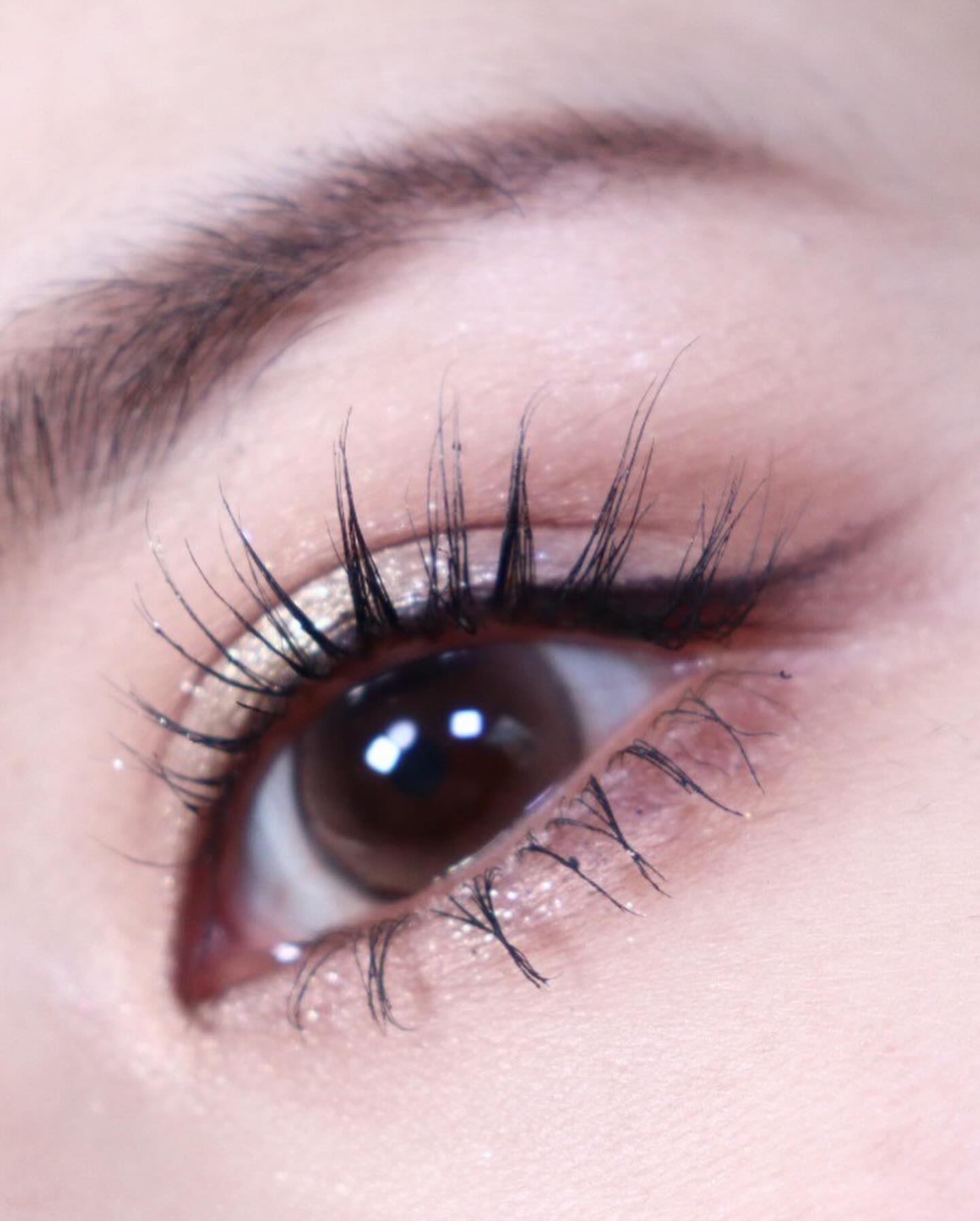 Dewy Kristin ブラウン/Hapa kristin/カラーコンタクトレンズを使ったクチコミ（3枚目）