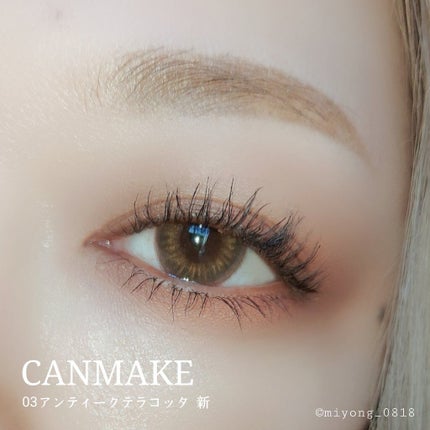 パーフェクトマルチアイズ/キャンメイク/アイシャドウパレットを使ったクチコミ(8枚目)