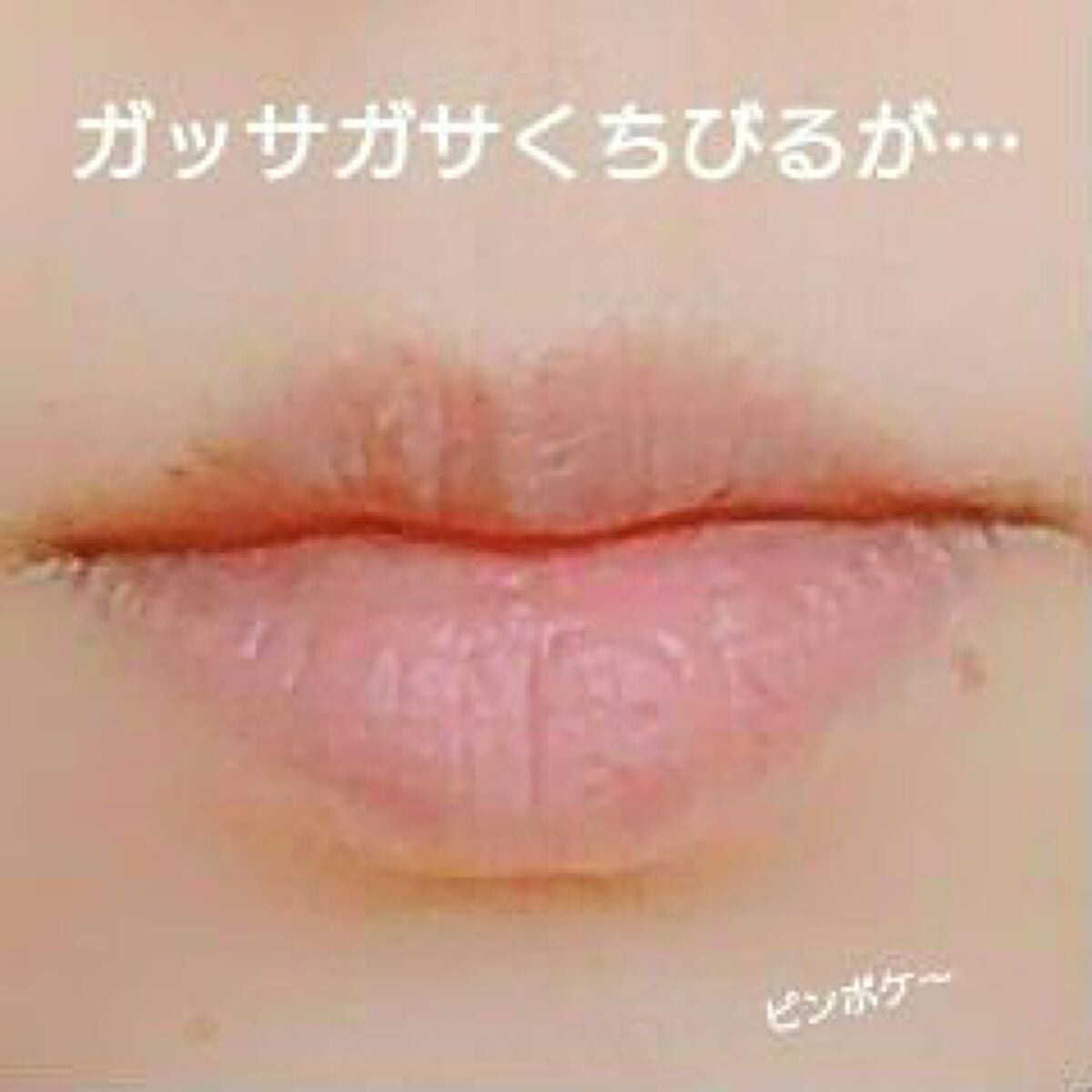 エッセンス リッププランパー/Visée/リッププランパーを使ったクチコミ(4枚目)