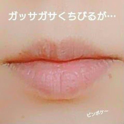 エッセンス リッププランパー/Visée/リッププランパーを使ったクチコミ(4枚目)