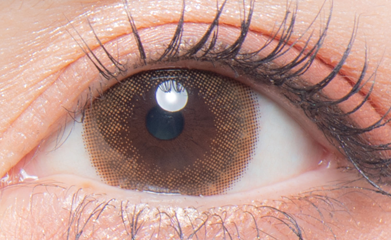 colors 1day ナチュラルピュアブラウン