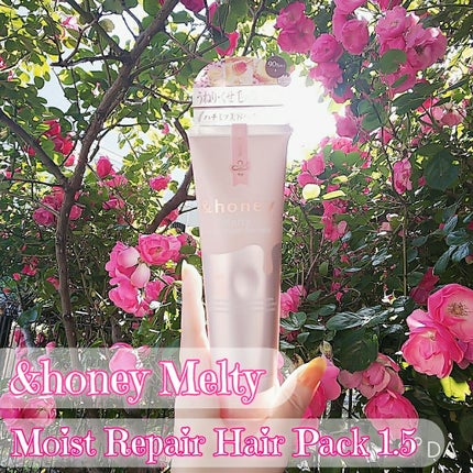 Melty モイストリペア ヘアパック 1.5/&honey/ヘアマスク・ヘアパックを使ったクチコミ(1枚目)