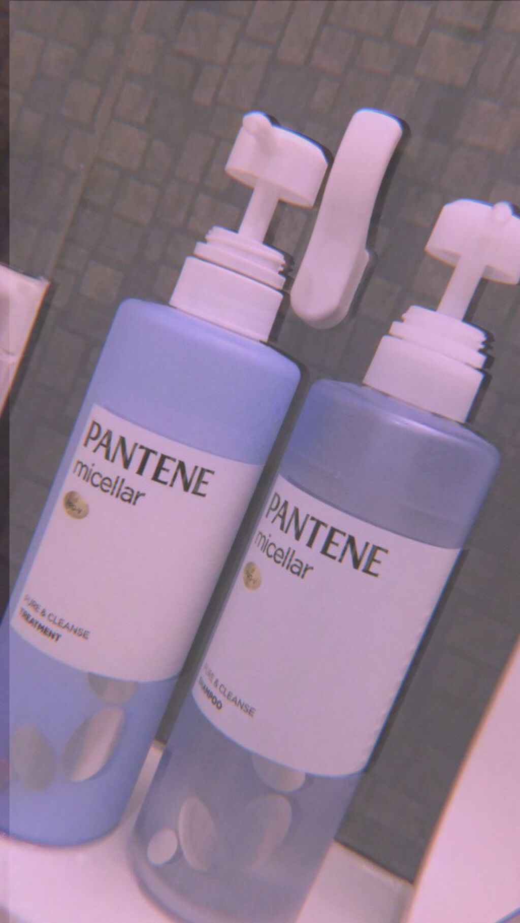 PRO-V ミセラー ピュア＆クレンズ ノンシリコンシャンプー/トリートメント/パンテーン/市販シャンプーを使ったクチコミ（1枚目）