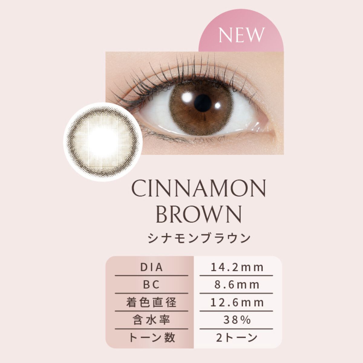 Lumie U 1day シナモンブラウン