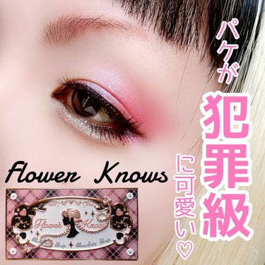 チョコレートシリーズアイシャドウパレット/FlowerKnows/アイシャドウパレットを使ったクチコミ（1枚目）