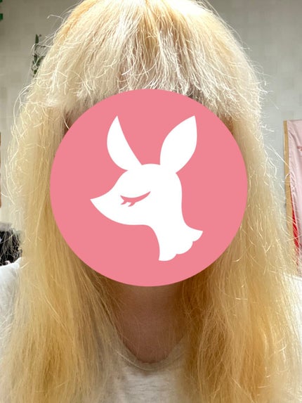 メイクアップカラー ベリーバイオレット/ビューティーン/ヘアカラーを使ったクチコミ(1枚目)