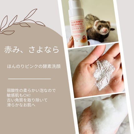 グッバイレッドネス センテラ パウダーウォッシュ 80g/BENTON/洗顔パウダーを使ったクチコミ(7枚目)