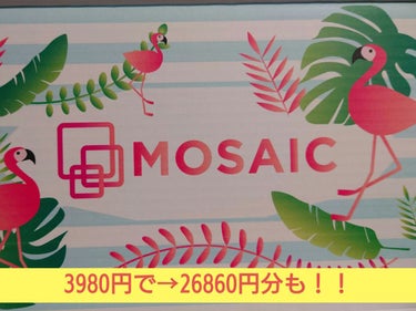 MOSAIC ボックス/MOSAIC/その他キットセットを使ったクチコミ（1枚目）